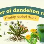 Dandelion شیشی ھند